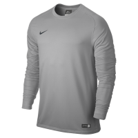 Bluza bramkarska dla dzieci Nike Park II Goalie Jersey szara 588441 001